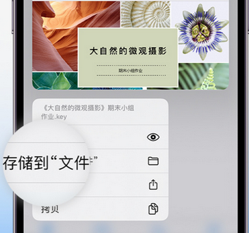 海淀apple维修中心分享iPhone文件应用中存储和找到下载文件