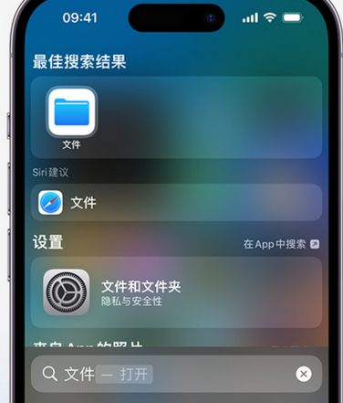 海淀apple维修中心分享iPhone文件应用中存储和找到下载文件 