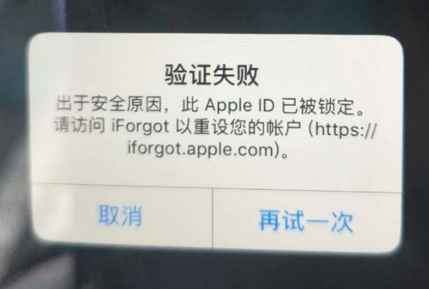 海淀iPhone维修分享iPhone上正常登录或使用AppleID怎么办 