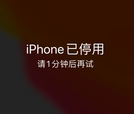 海淀苹果手机维修分享:iPhone 显示“不可用”或“已停用”怎么办？还能保留数据吗？ 