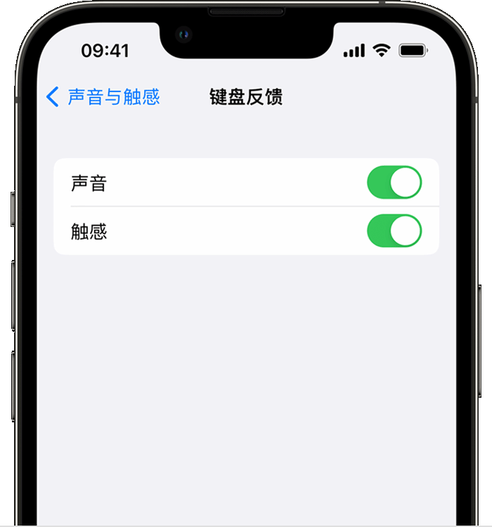 海淀苹果14维修店分享如何在 iPhone 14 机型中使用触感键盘 