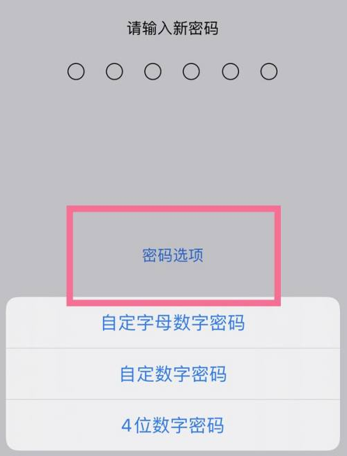 海淀苹果14维修分享iPhone 14plus设置密码的方法 