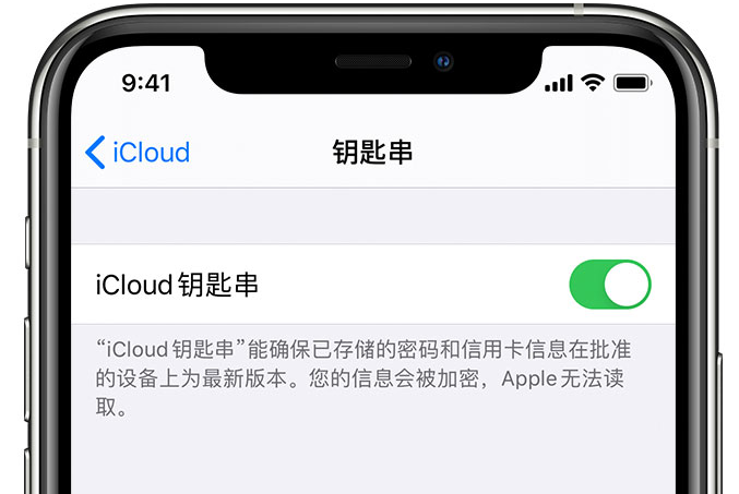 海淀苹果手机维修分享在 iPhone 上开启 iCloud 钥匙串之后会储存哪些信息 