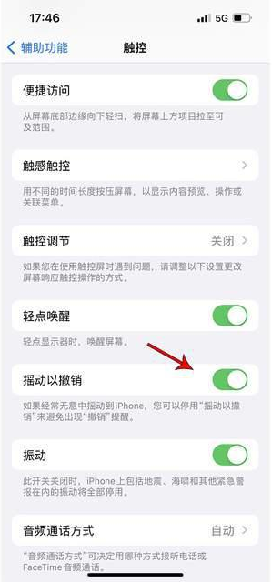 海淀苹果手机维修分享iPhone手机如何设置摇一摇删除文字 