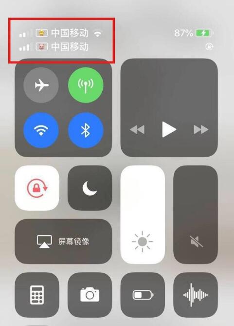 海淀苹果手机维修分享为 iPhone 12 双卡设置标签 